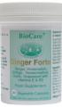 Biocare Ginger Forte (circulatory health complex) 60 caps